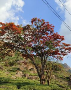 Home whatsapp image 2025 12 01 at 6.52.02 pm